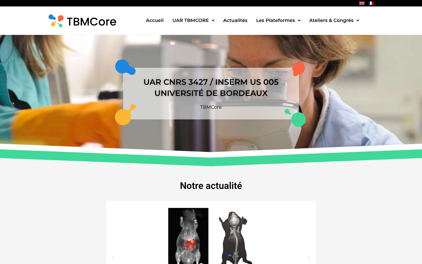 Aperçu du site TBMCore réalisé par Nivo Web